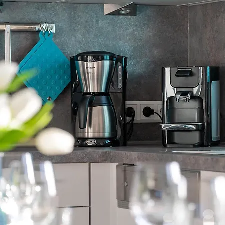 Dom wakacyjny Friesland